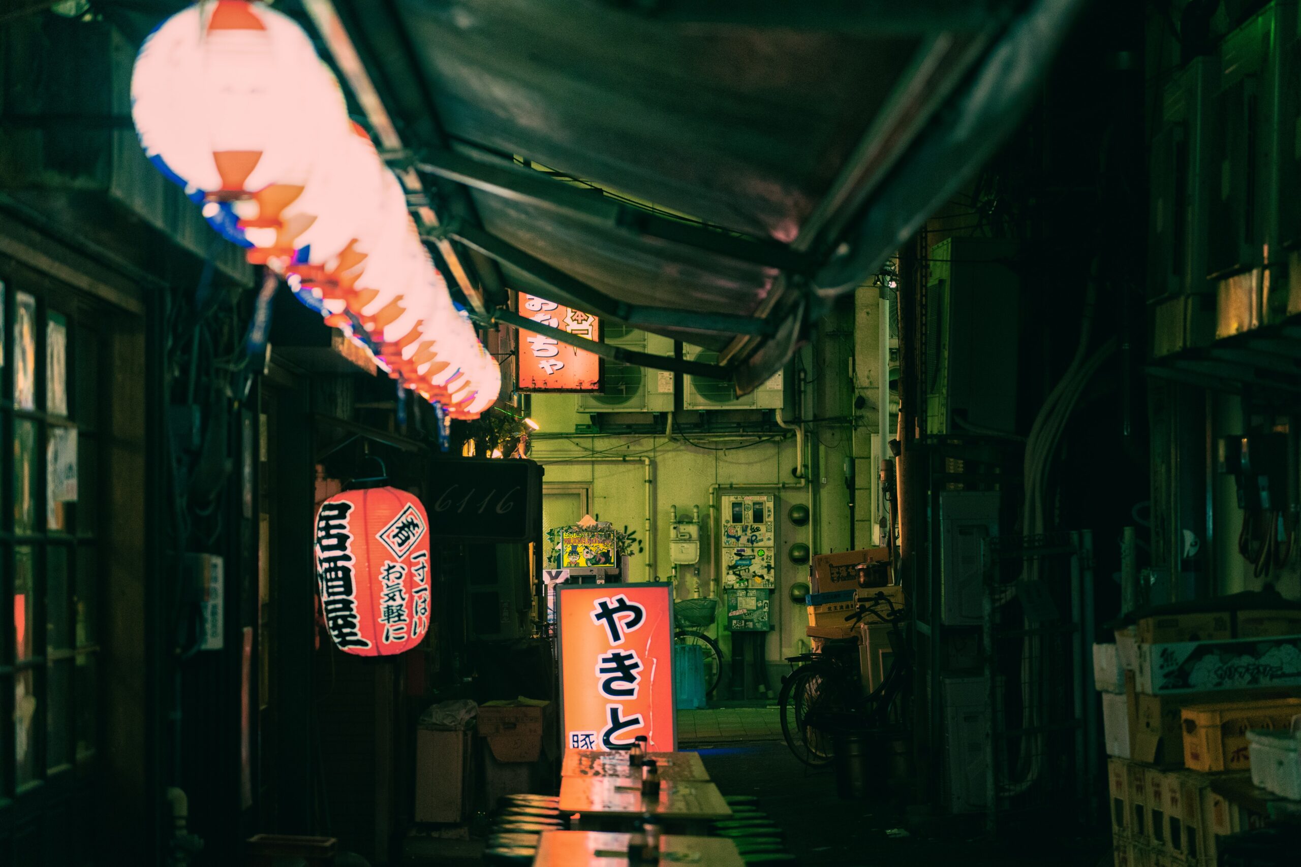 ayumi-kubo-LWja53HWbYo-unsplash